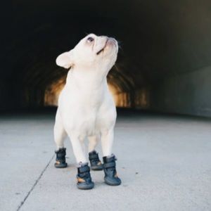 Meet your Posher, Lennon